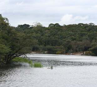 Odnoga Rio Negro