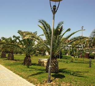 Evrenseki an der Promenade entlang