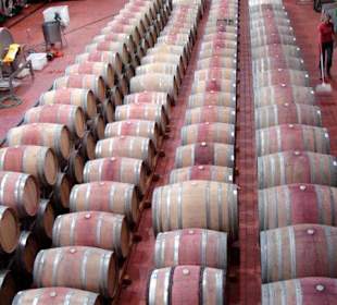 Weingut Klein Constantia