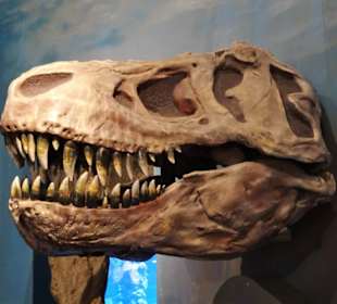 Begrüßung der Gäste durch Dinosaurier