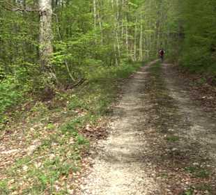 Wandertour durchs Reissenbachtal Oberhausen