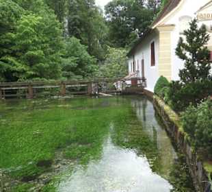 Wimsener Höhle