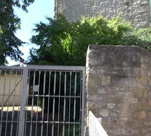 Ruine der Walpurgiskirche