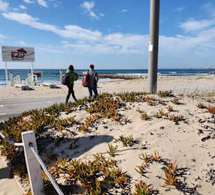 Costa da Caprica
