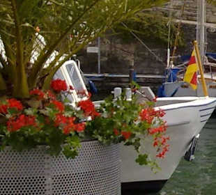  Hafen Überlingen in Überlingen