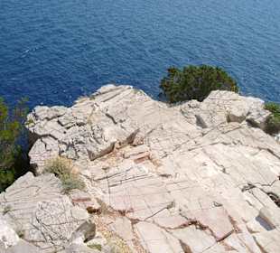 Tauchfelsen Nahansicht