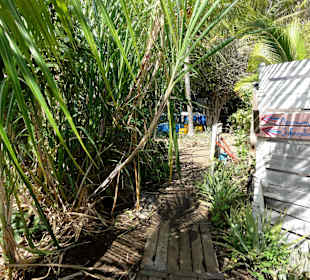 Rundgang durch die Idylle von Mimi´s Eco Farm