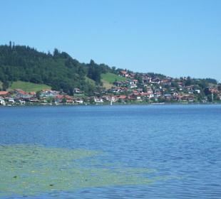 Blick auf Hopfen am See