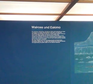 Meeresmuseum Stralsund