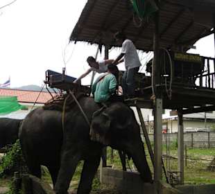 Elefanten Safari auf Phuket