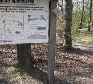 Waldsportpfad im Wasenwald
