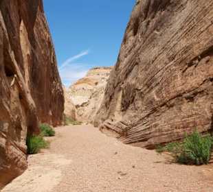 Capitol Reef National Park