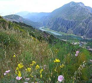 Cetina Canyon