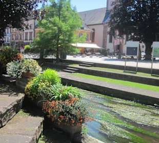 Niederbronn les Bains