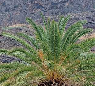 Wandern Playa del Ingles