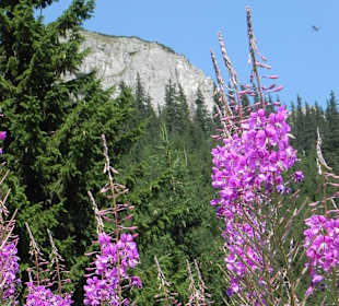 Tatrzański Park Narodowy