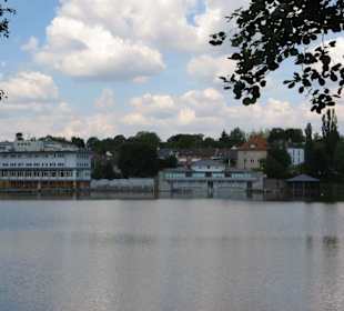 Blick über den Woog