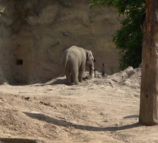 Zoo Heidelberg