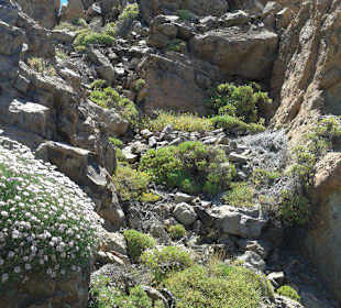 Beeindruckende Formationen