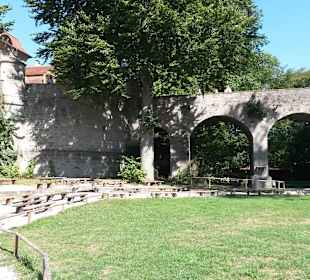 Greifvogel Vorführungs Platz