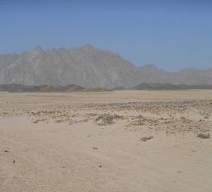 Quadtour in die Wüste