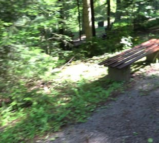 Waldfriedhof Altensteig