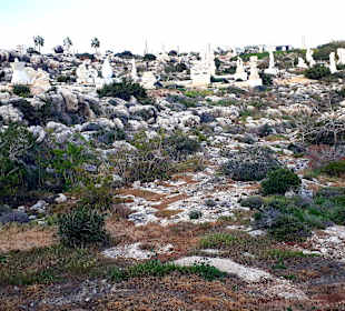Skulpturenpark