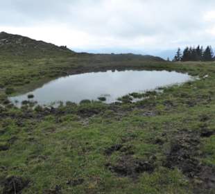 Rundwanderung Breitenstein