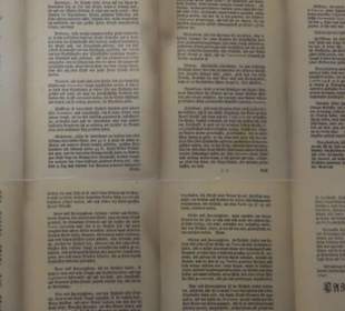 Gestütshof Offenhausen