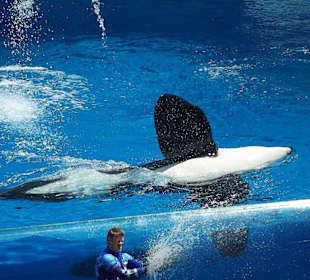 Seaworld San Diego