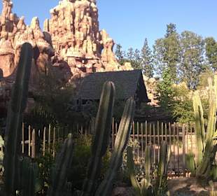 Disneyland - Anaheim, California, United States.