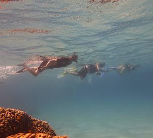 Einmalie Erlebnisse mit Mo´s Delfinen