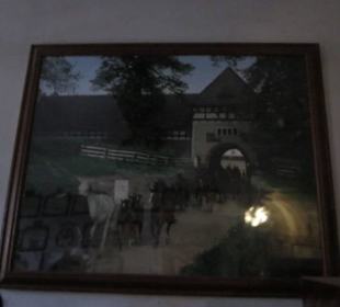 Schloss Fürstenstein ( Ksiaz ) Staatliches Gestüt