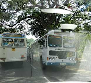 Rundreise mit Tikka Juni 2012