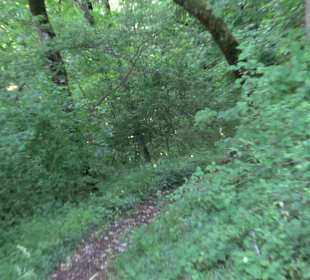 Burgruine Andeck Talheim