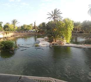 Krokodilfarm in Nähe des Hotels