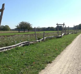 Kelten-Erlebnis-Pfad Erkenbrechtsweiler