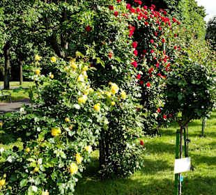 Volksgarten Wien