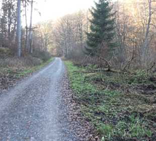 Schönbuch Schaichtal