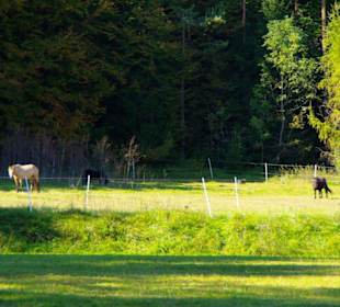 Wanderung zum Signalstein Fränk.Schweiz
