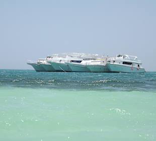 Ausflug zum Schnorcheln und nach Orange Bay