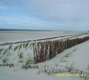 Dünen/Strand Amrum