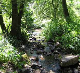 Überall wunderschöne Natur