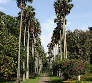 Botanischer Garten