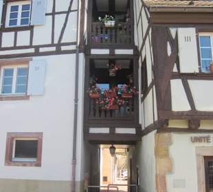 Altstadt Colmar Petit Venice