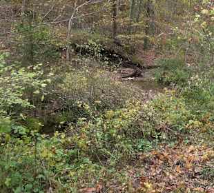 Wandertour "Rund um den Rossberg" Öschingen