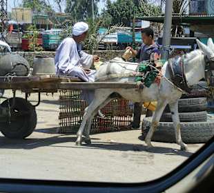 Gängiges Transportmittel in Kairo