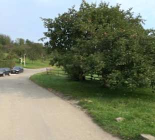 Altwege Rundwanderung Bebenhausen