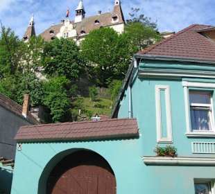 Green house in castle district