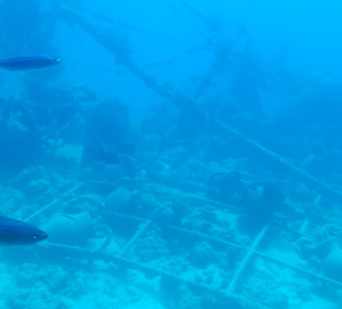 U-Boot Tour Hurghada